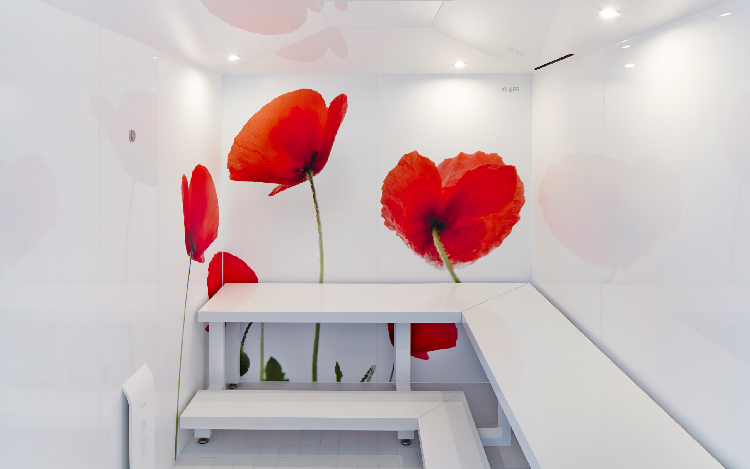 P_Dampfbad_D6_Innenansicht_mitBaenke_Mohn_Galerie_2560x1600