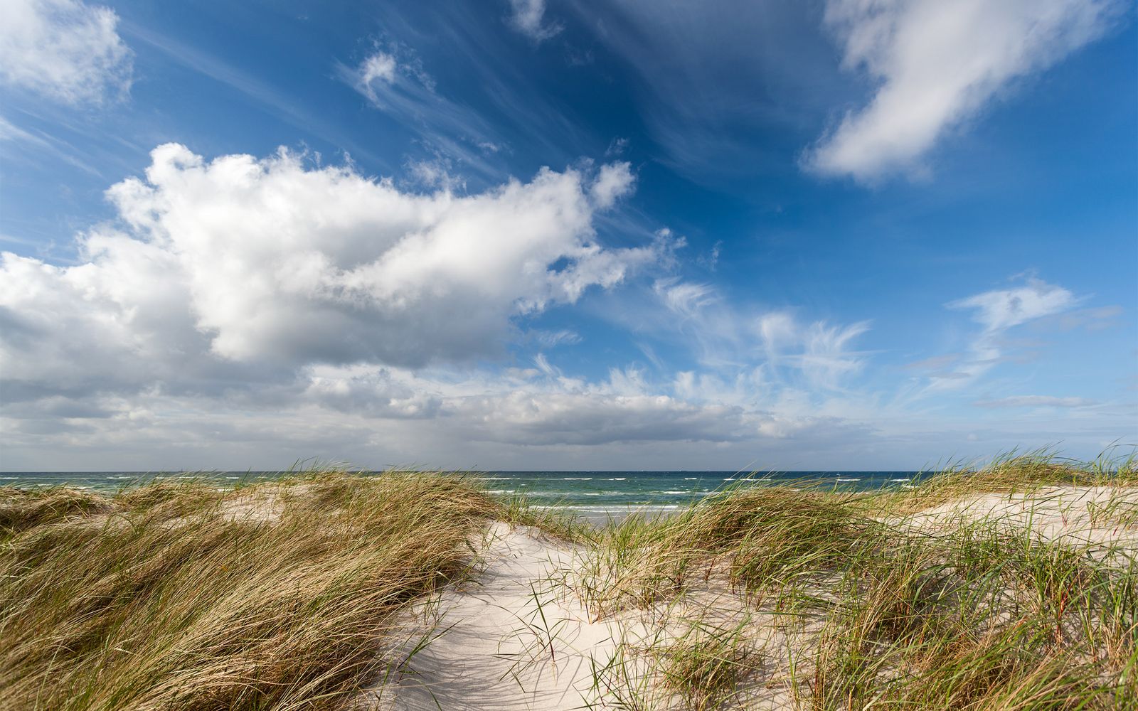 csm_M_Meer_Strand_Microsalt_Galerie_2560x1600_b6276084cc